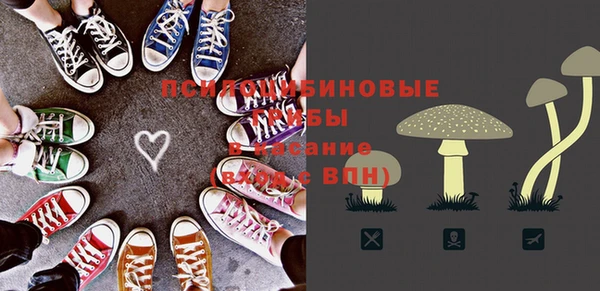 эйфоретик Баксан
