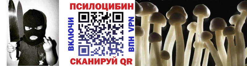 гидра ССЫЛКА  Североуральск  Псилоцибиновые грибы Cubensis 